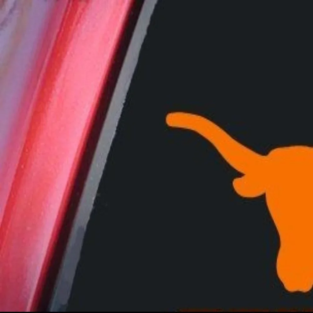 N/A texas longhorn